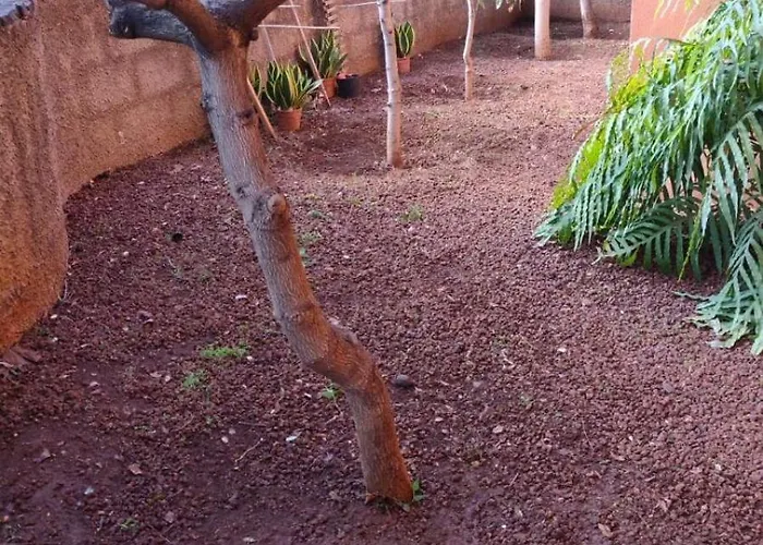 Апартаменты Gavilan